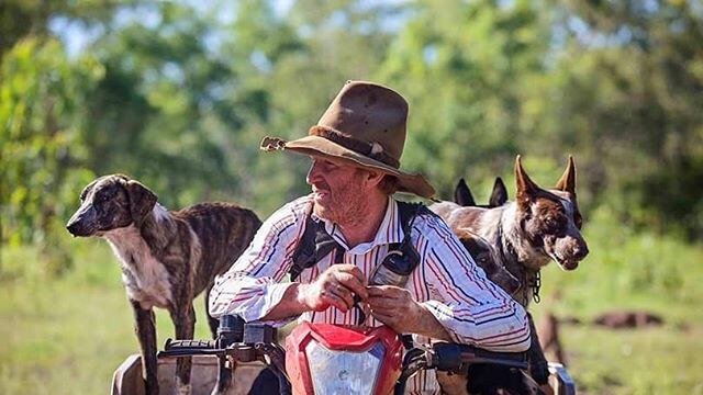 A farmer sits with his dogs on a motorbike.