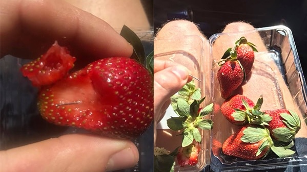 Composite photo of the sewing needle found inside a strawberry and a wide shot of a hand holding a needle over a punnet of strawberries.