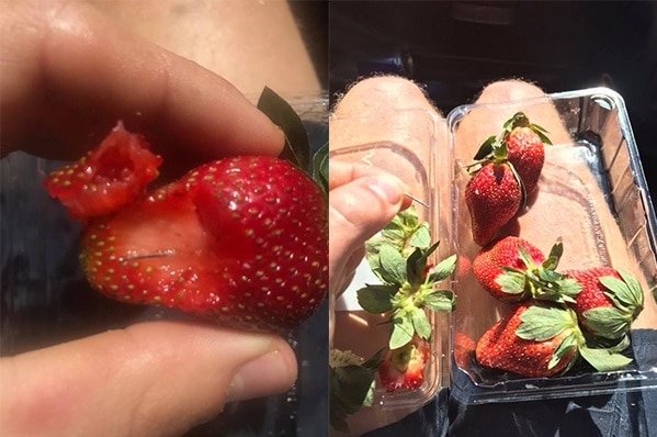 Composite photo of the sewing needle found inside a strawberry and a wide shot of hand holding a needle over a punnet.