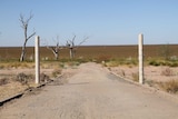 The boat ramp at Lake Menindee, and the dry, overgrown lake bed in the distance.