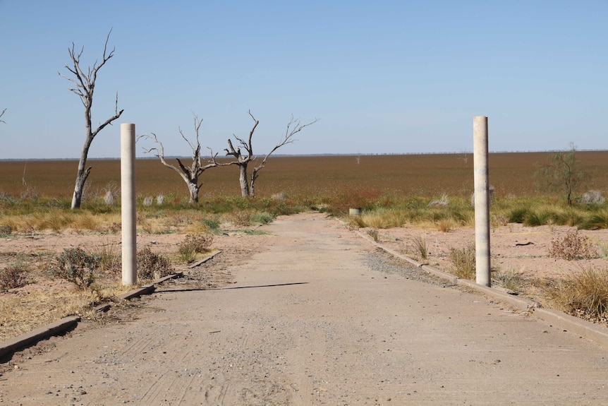 The boat ramp at Lake Menindee, and the dry, overgrown lake bed in the distance.