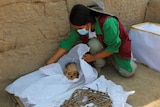 Masked archaeologist crouches next to skull and bones found in excavation.