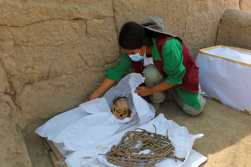 Masked archaeologist crouches next to skull and bones found in excavation.