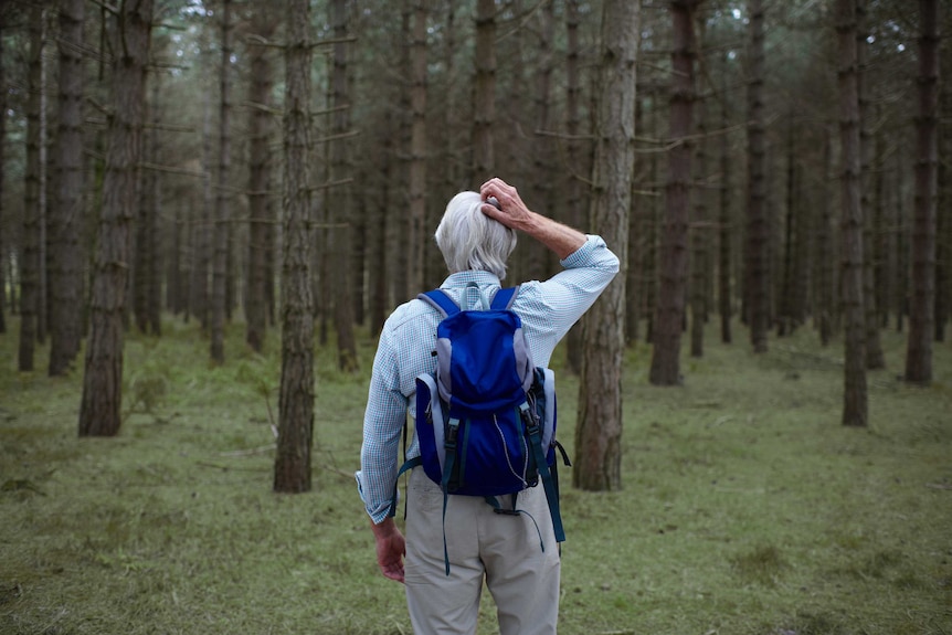 An older gentleman on a woodland hike scratches his head as if lost.