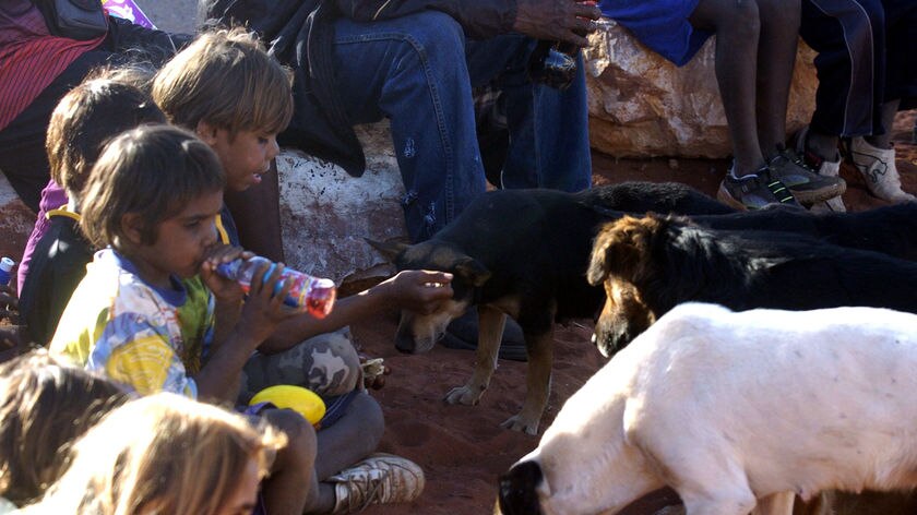 Indigenous children sit on the ground next to dogs in Imanpa