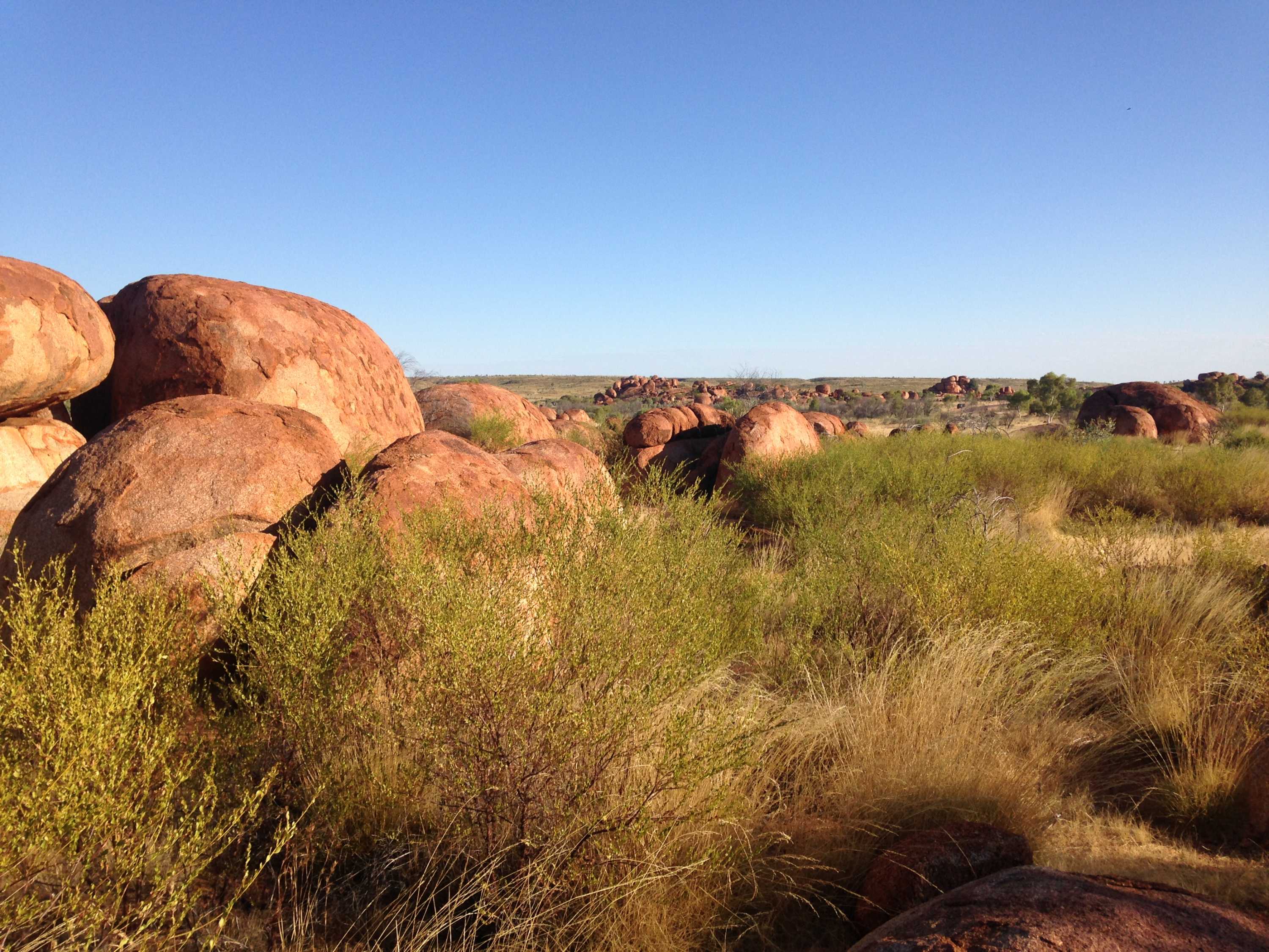 Large granite rocks among dry, green plants set against a clear blue sky
