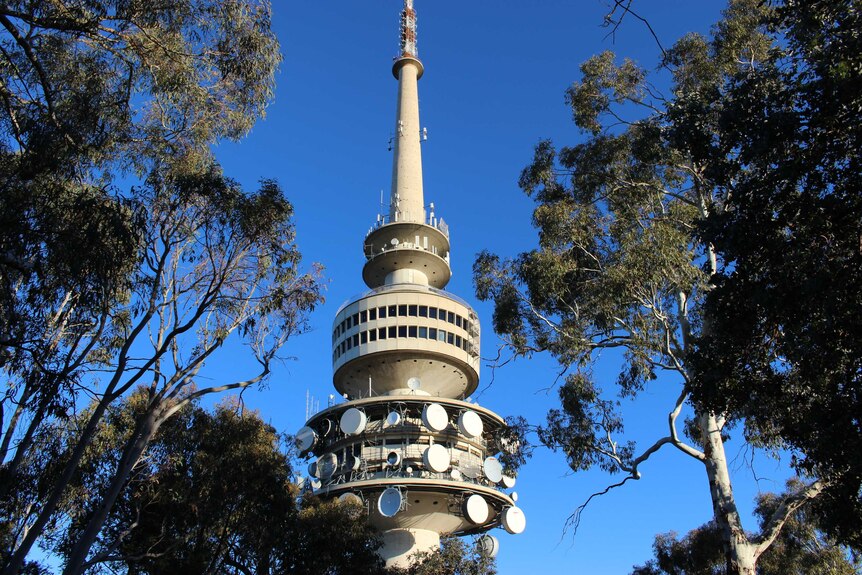 Telstra Tower in Canberra on a sunny autumn day.