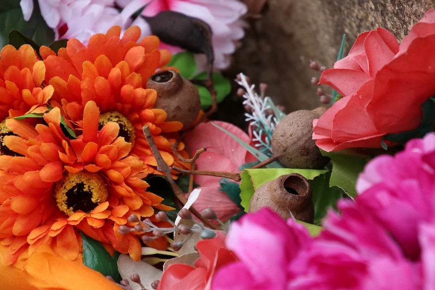 A close-up shot of colourful flowers.