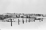 black and white photo of snow with a fence in the foreground