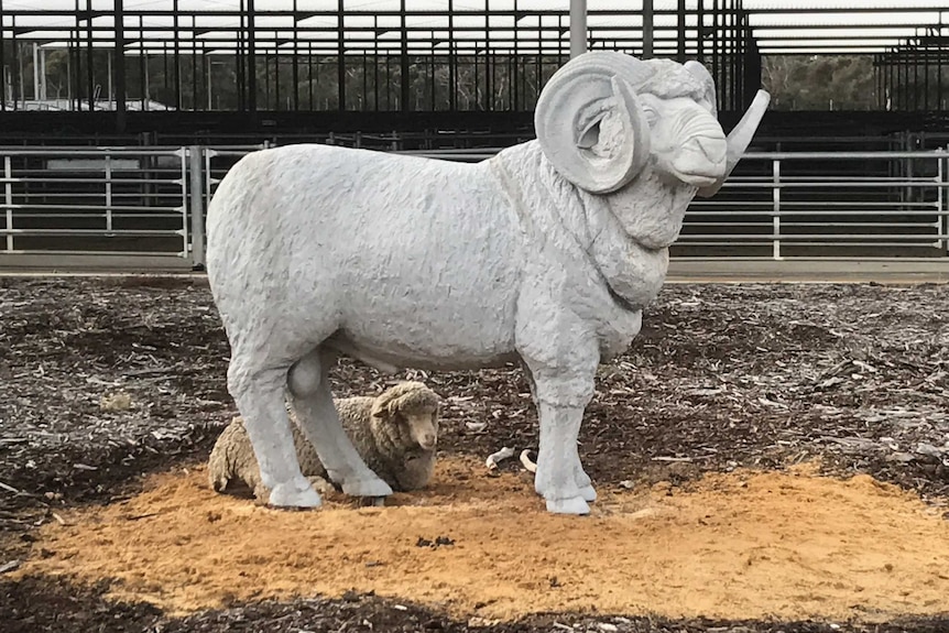 A sheep rests under a giant ram statue
