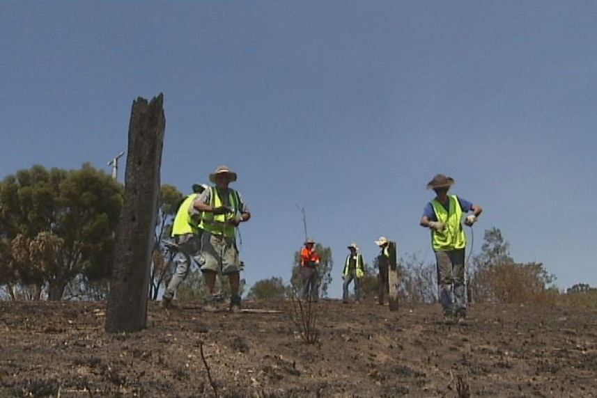 ABC News Current