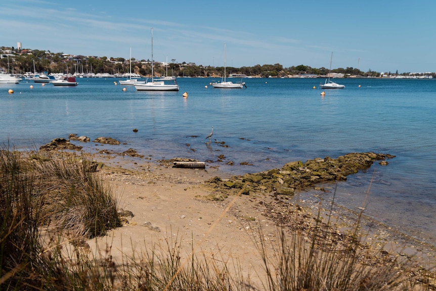 The shoreline of the Swan River in Bicton with boats on the water.