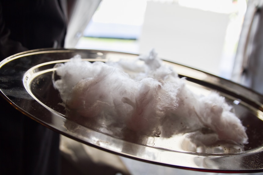 Savoury fairy floss will be served as brains at the start of the performance.