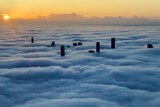 Aerial view of Brisbane CBD covered in fog.