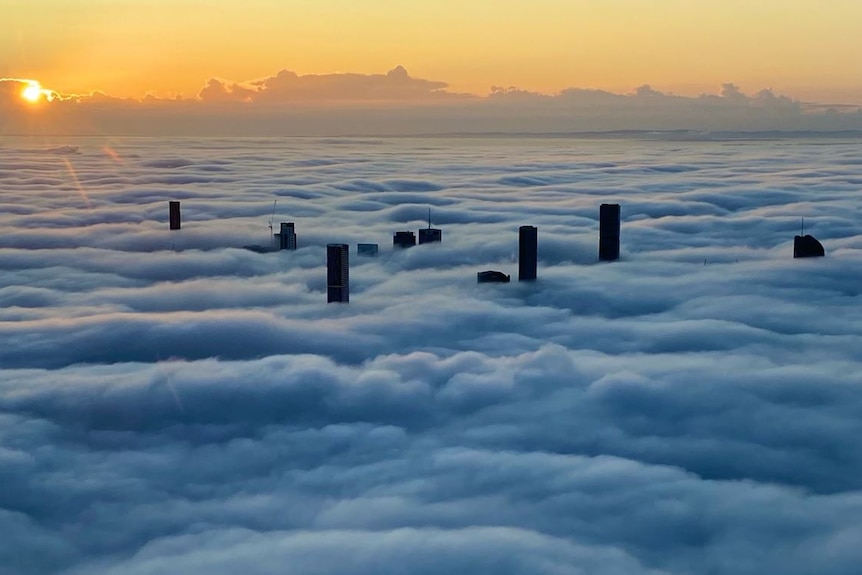 Aerial view of Brisbane CBD covered in fog.
