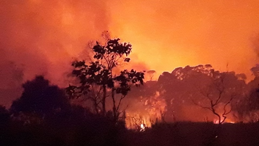 Fire burning in bushland in the Central Plateau, Tasmania February 2019