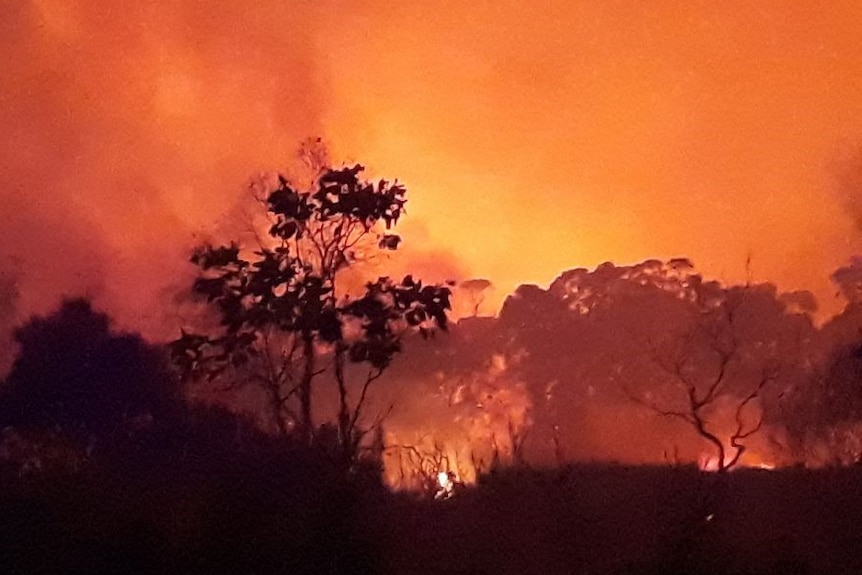 Fire burning in bushland in the Central Plateau, Tasmania February 2019