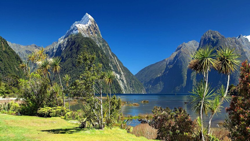 New Zealand mixes tropical and rugged in Milford Sound, with a view to Mitre Peak 