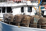 Rock lobster fishermen are staying on shore as the price plummets