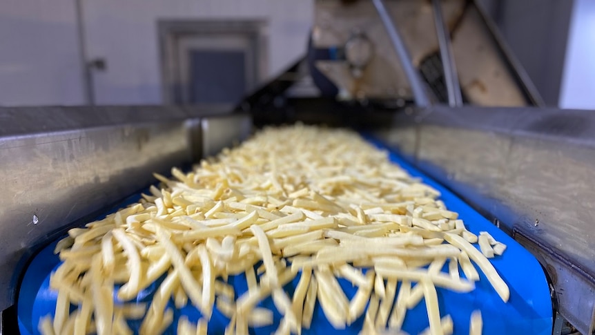 Chips on the production line at McCains in Smithton
