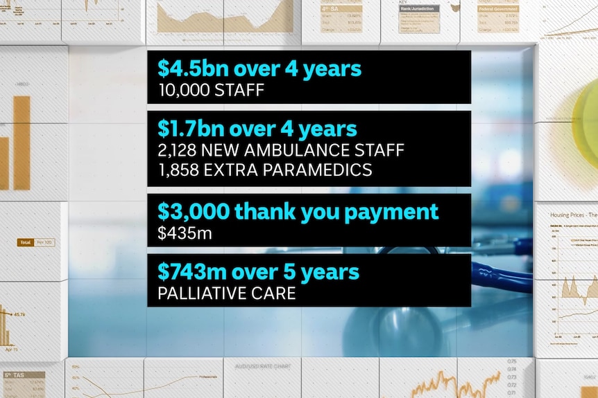 a graph detailing spending on healthcare in nsw