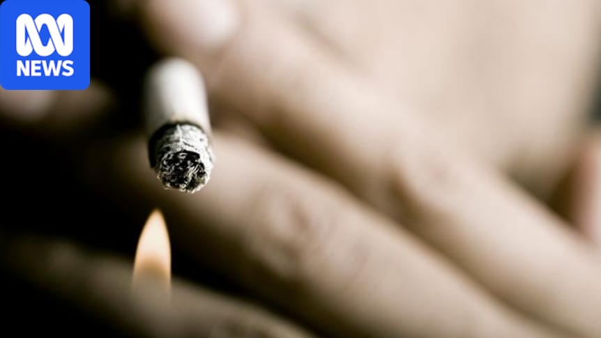 chop tobacco where to buy chop adelaide Cairns illegal tobacco: Black market trade thriving in Cairns Illegal Tobacco (or chop chop)