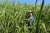 Greg Zipf, a Queensland sugar cane farmer between the Gold Coast and Brisbane.