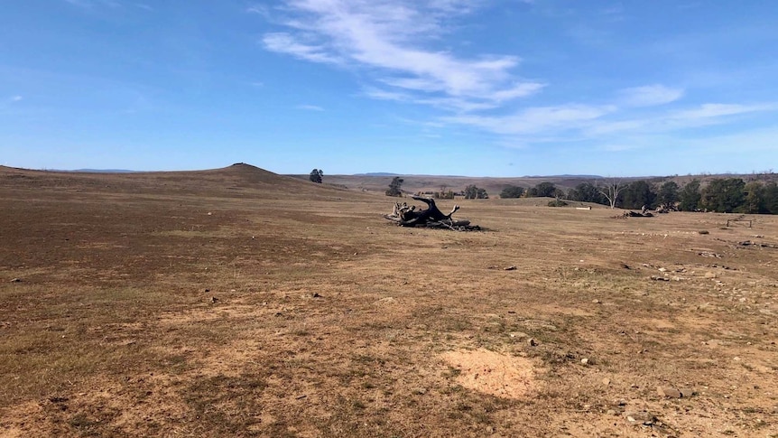 an image of the dry landscape south of Cooma