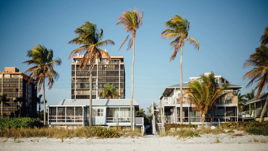 Beach houses and apartment buildings sit on the beach front.