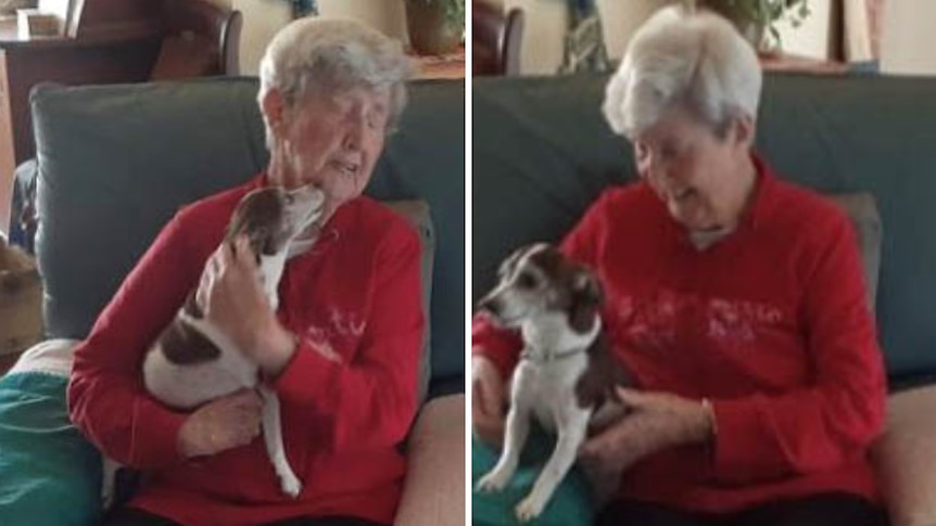 Composite showing two photos of an elderly woman holding her new dog.