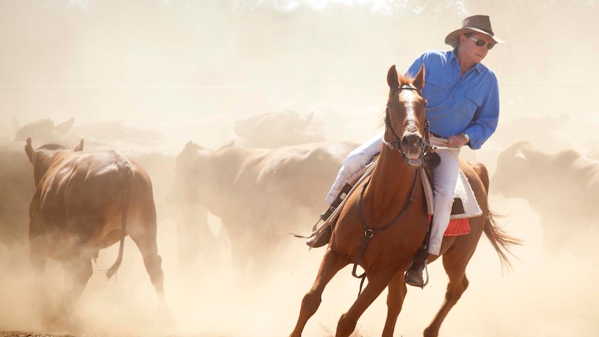 Andrew Forrest rides a horse among a herd of cattle on a pastoral station.
