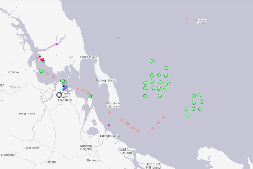 A greyscale map with green, red, blue and pink dots showing where ships are stationed around Gladstone.