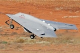 A photo of a US RQ-170  sentinel drone, thought to be made by Lockheed Martin.