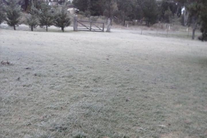 Frost in Stanthorpe, where the temperature plummeted to bellow freezing.
