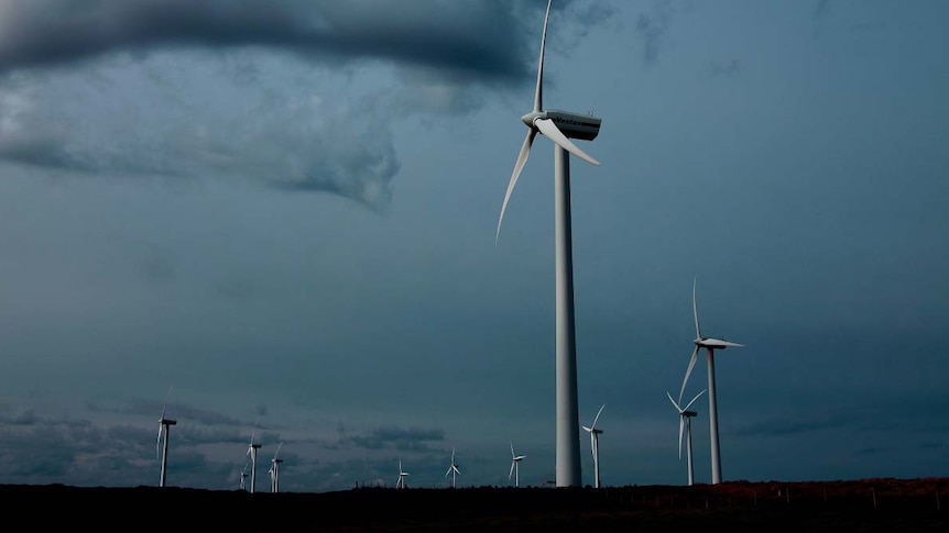 Hydro Tasmania's wind turbines at Woolnorth in north east Tasmania.