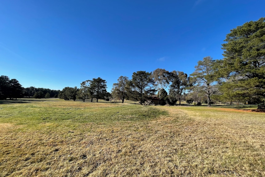 Picture of wide open green space and trees 