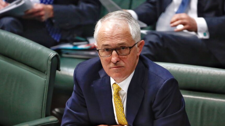 Prime Minister Malcolm Turnbull looks at the camera through his thick rimmed glasses in question time.