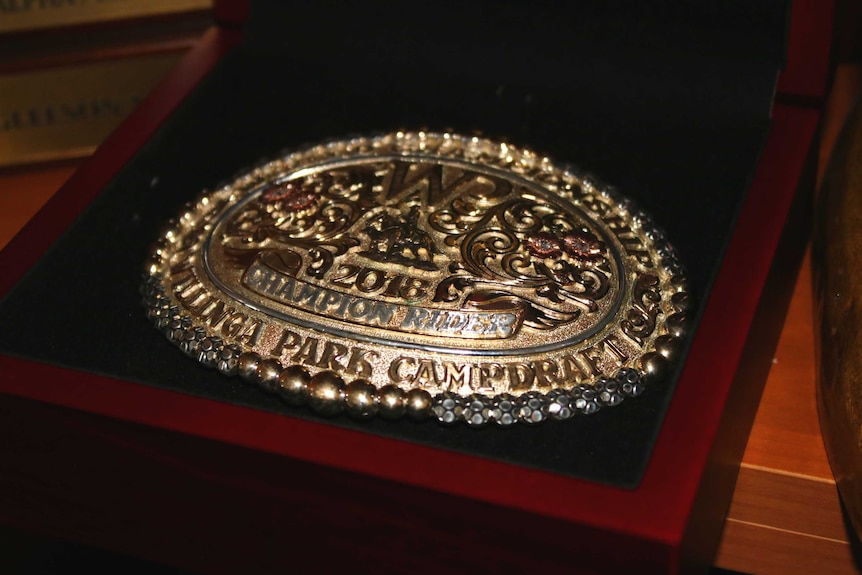 A golden belt buckle in a dark wooden box with the words 2018 champion rider, Willinga park campdraft.