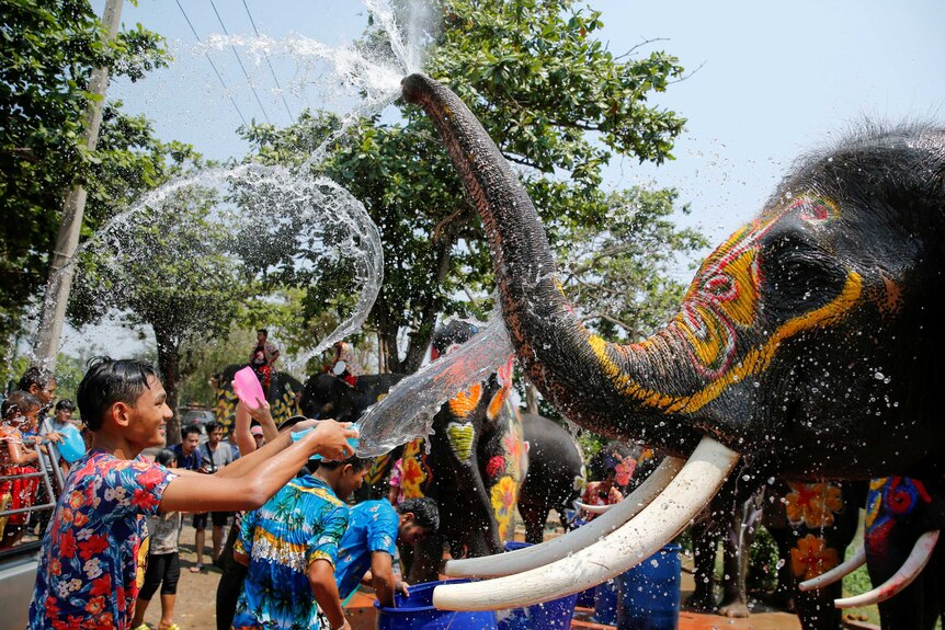 A boy in a crowd throws water on an elephant as the animal sprays back during celebrations