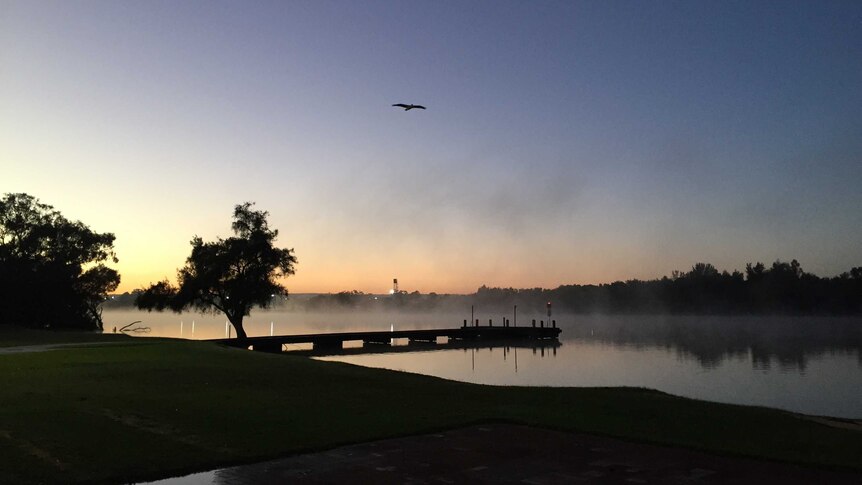 Mist rises over the Swan River at Bayswater on the coldest morning of 2018 in Perth, with a solitary bird above the water.