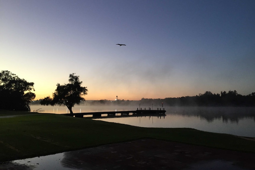 Mist rises over the Swan River at Bayswater on the coldest morning of 2018 in Perth, with a solitary bird above the water.