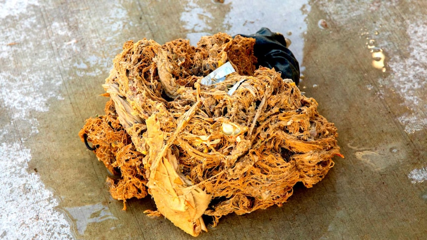 A small fatberg of congealed rubbish.