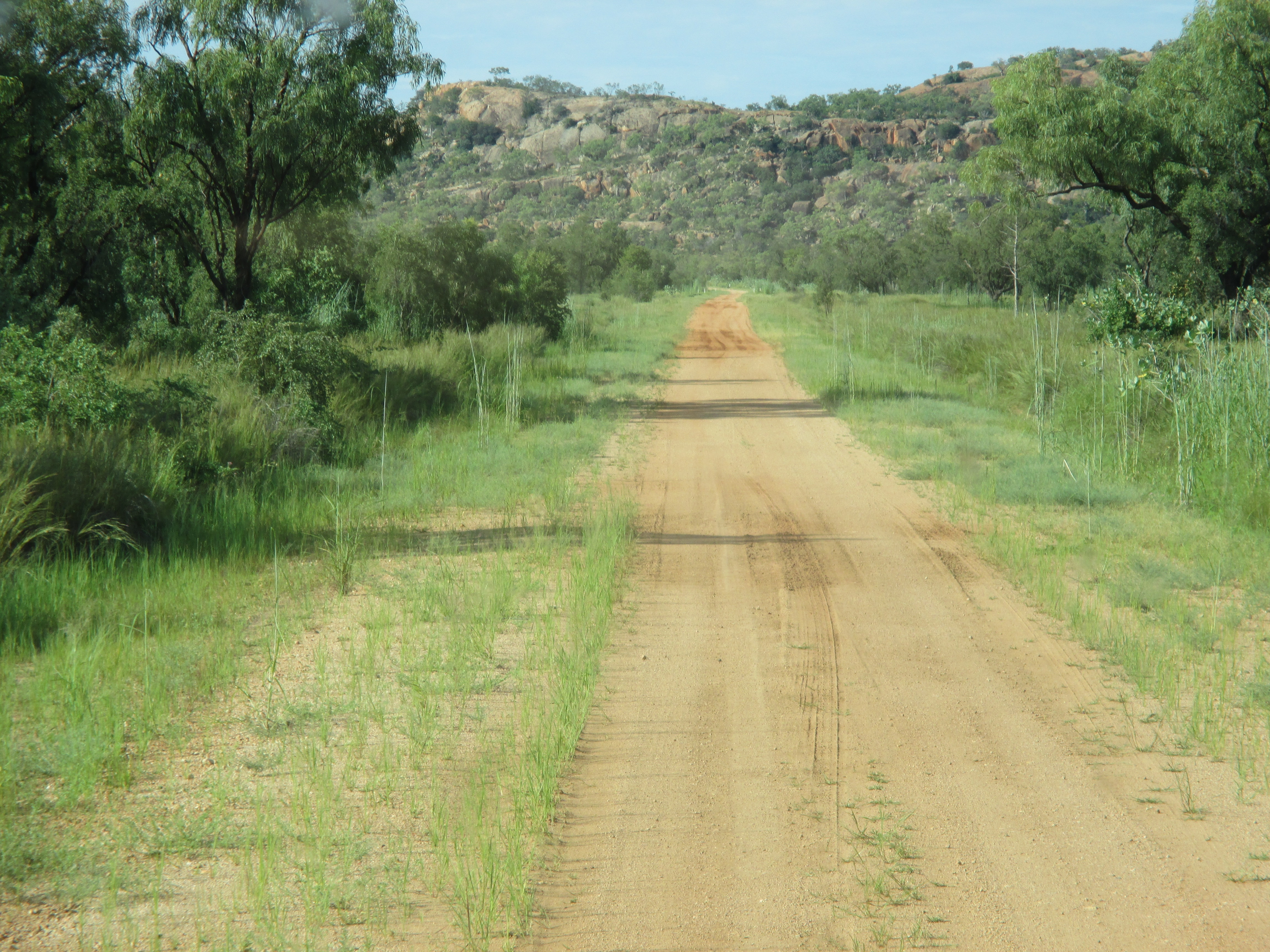 A dirt road with long grass on either side and ranges in the distance