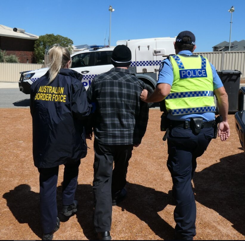 Australian Border Force charges two Geraldton men over child-like sex dolls  - ABC News