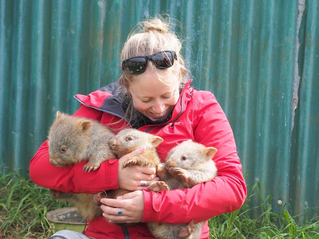 A smiling woman looks down at the three baby wombats held in her arms. 