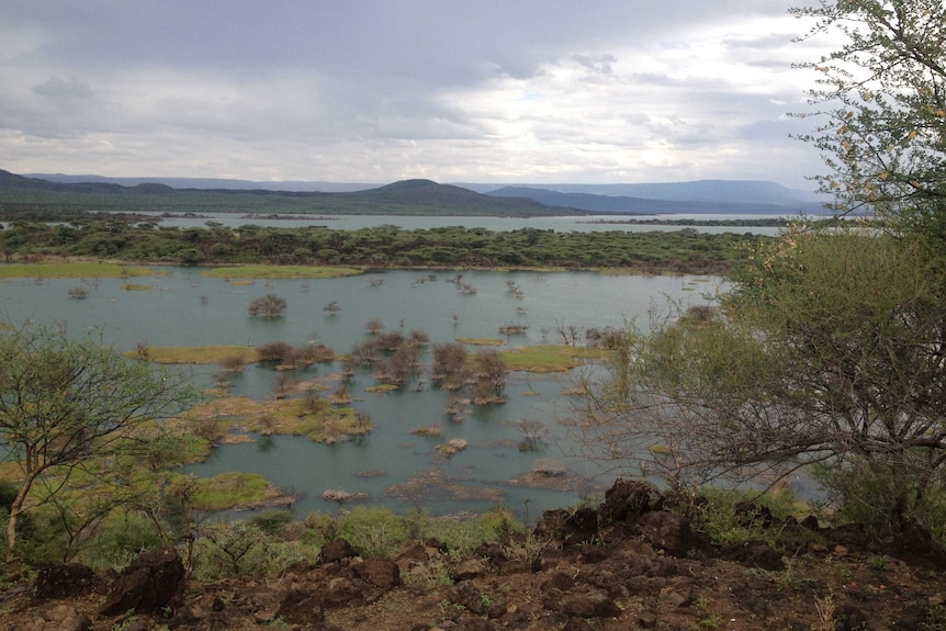 Lake Baringo, in western Kenya, has been expanding in size due to rising water levels.