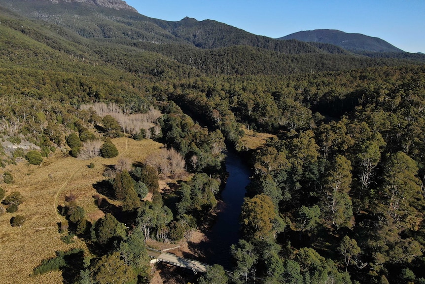 River valley with trees, and a mountain in the background