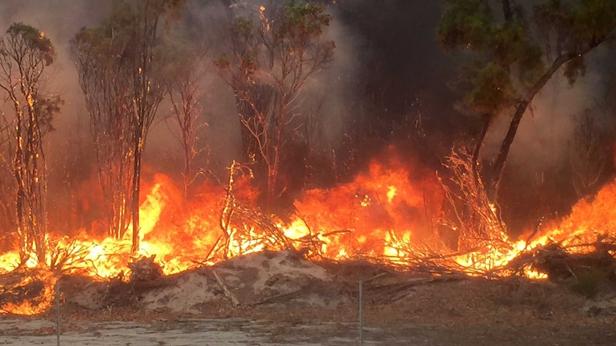 Bushfire at Uduc in WA's South West