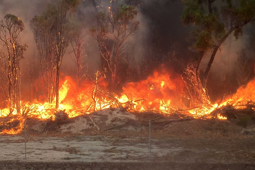 Bushfire inquest