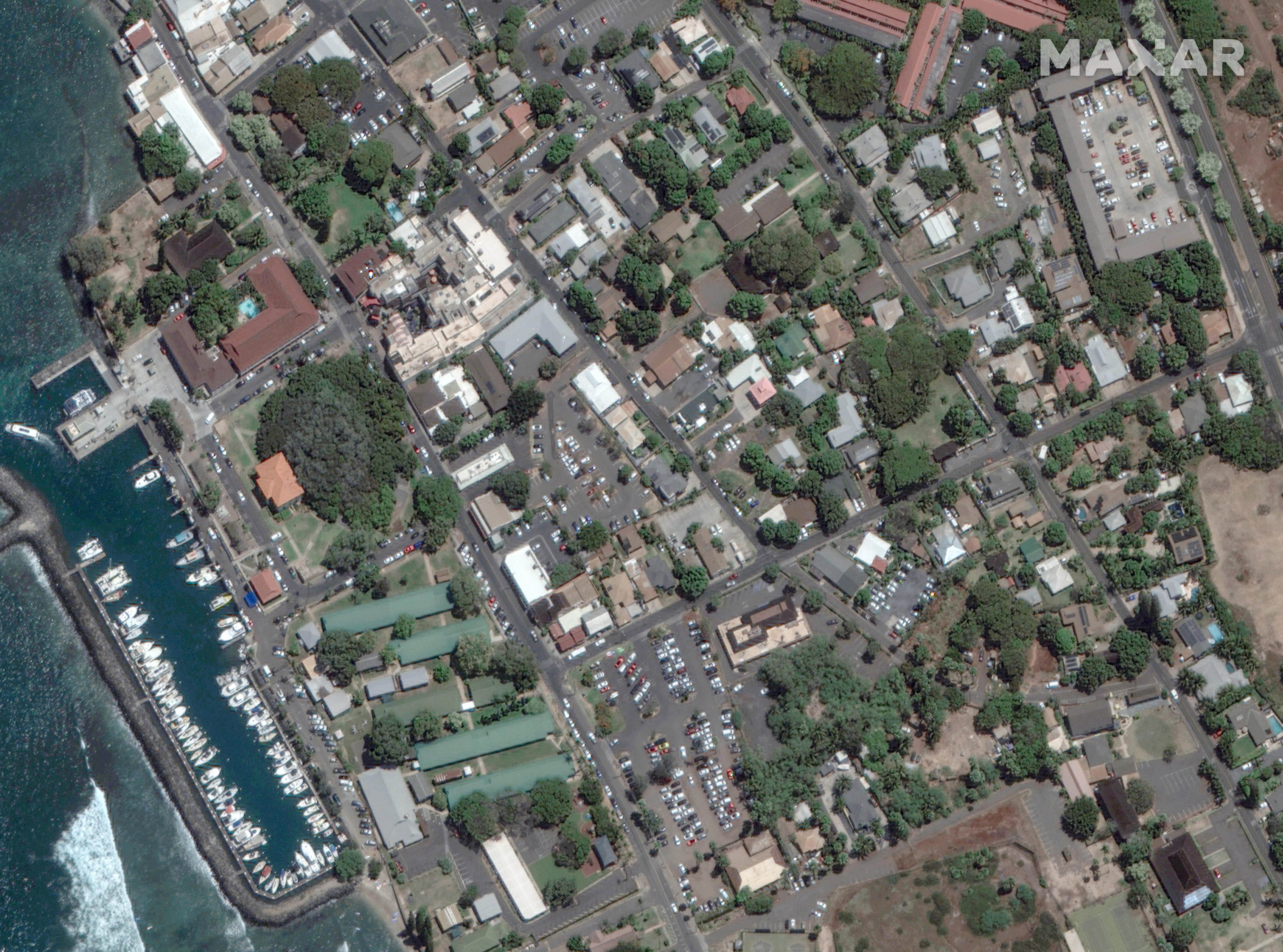 June 25: Banyan Court in Lahaina.